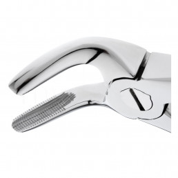 11-8 Щипцы для удаления зубов нижние, премоляры