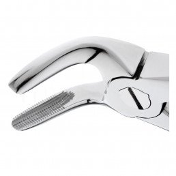 11-8 Щипцы для удаления зубов нижние, премоляры