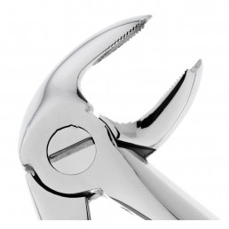 11-23 Щипцы для удаления зубов нижние, моляры правые