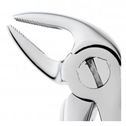 11-38 Щипцы для удаления зубов детские нижние, резцы/клыки