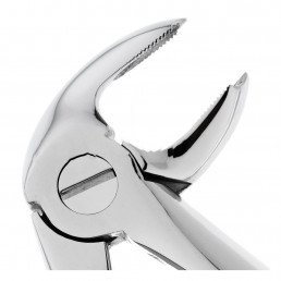 11-23 Щипцы для удаления зубов нижние, моляры правые