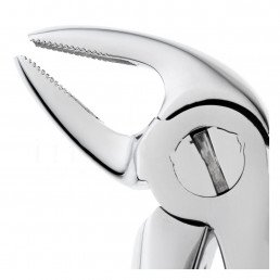 11-38 Щипцы для удаления зубов детские нижние, резцы/клыки