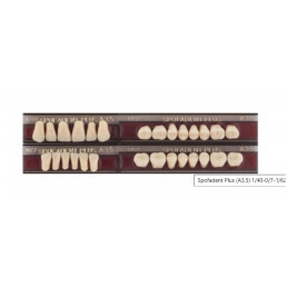 Спофадент Плюс (A3,5) 1/40-0/7-1/62 (28шт) - Трехслойные акриловые зубы SPOFA