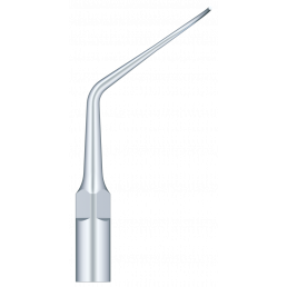 Насадка на скалер Woodpecker/EMS - P2R