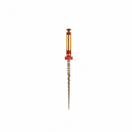 Голд-Тейпер файл 31мм F2 (6 шт/уп) Goffshtein Dental Development (GOLD-TAPER)