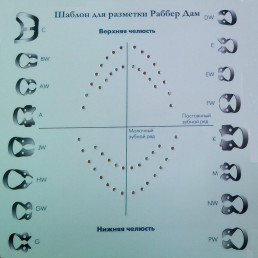 Шаблон для Коффердам (1 шт)