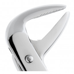 11-75 Щипцы для удаления зубов нижние, премоляры