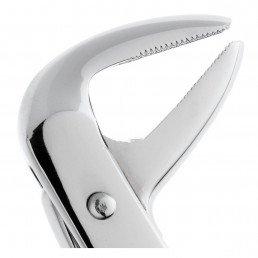 11-75 Щипцы для удаления зубов нижние, премоляры