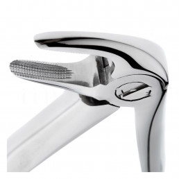 12-33 Щипцы для удаления зубов нижние, корневые