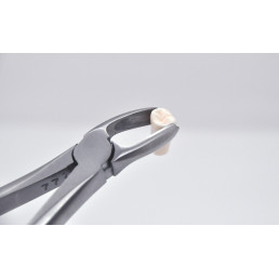 Щипцы для удаления зубов №17 верхние, моляры правые, AGILE — фото №12