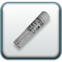 Файлы для эндочака Е1/07ES-22 (3 шт) Geosoft Dent