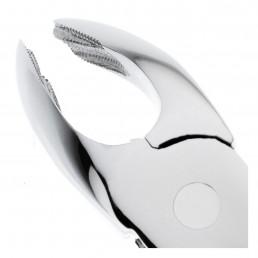 11-21 Щипцы для удаления зубов нижние, моляры