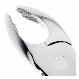 11-21 Щипцы для удаления зубов нижние, моляры