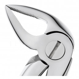 11-33 Щипцы для удаления зубов нижние, корневые