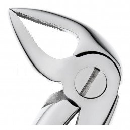 11-33 Щипцы для удаления зубов нижние, корневые