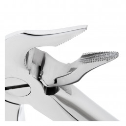 11-136 Щипцы для удаления зубов нижние, корневые