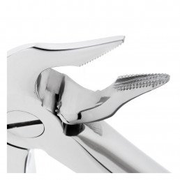 11-136 Щипцы для удаления зубов нижние, корневые