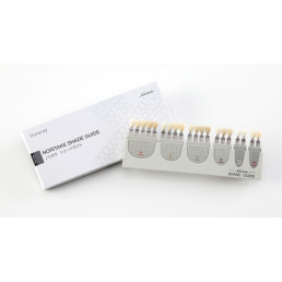 Расцветка Shade Guide EX-3 (1шт) Kuraray Noritake Dental Inc