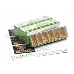 Зубы Anis акриловые двухлойные (A2 №14) (560 шт) Анис-Дент