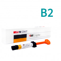 РеЛайт B2 (4 г) универсальный композит, SM DMT (SM Light)
