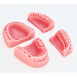 Учебный силиконовый модуль зубных протезов (4шт/уп) (симулятор челюсти)