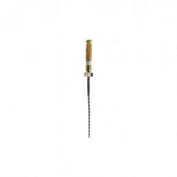 Apex-max 21мм AX45 .02 №45 (6 шт/уп) Goffshtein Dental Development