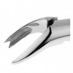 11-89 Щипцы для удаления зубов верхние, моляры правые