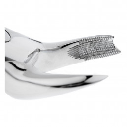 12-89 Щипцы для удаления зубов верхние, моляры правые