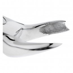 12-89 Щипцы для удаления зубов верхние, моляры правые