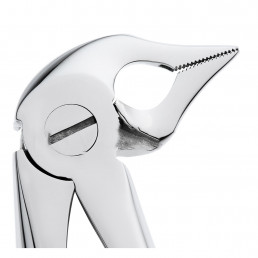 11-136 Щипцы для удаления зубов нижние, корневые