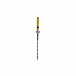 Apex-max 21мм AX60 .02 №60 (6 шт/уп) Goffshtein Dental Development