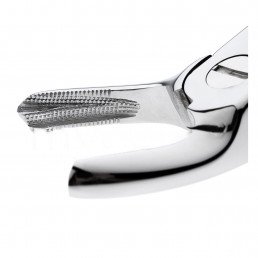 11-18 Щипцы для удаления зубов верхние, моляры левые