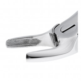 12-7 Щипцы для удаления зубов верхние, премоляры