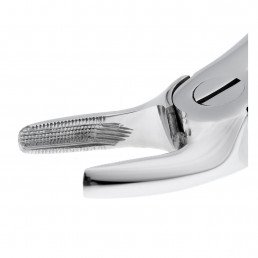 12-7 Щипцы для удаления зубов верхние, премоляры