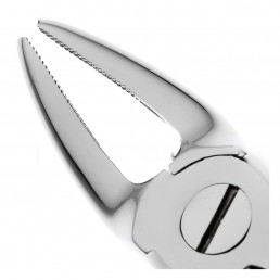 11-7 Щипцы для удаления верхние, премоляры