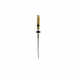 Apex-max 25мм AX40 .02 №40 (6 шт/уп) Goffshtein Dental Development