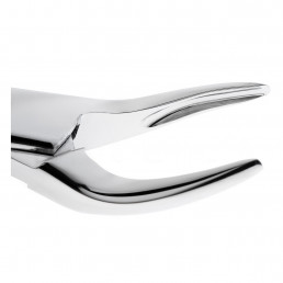 11-501 Щипцы для удаления зубов верхние, корневые