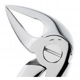 12-33A Щипцы для удаления зубов нижние, корневые