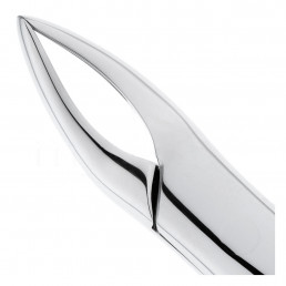 12-501 Щипцы для удаления зубов верхние, корневые