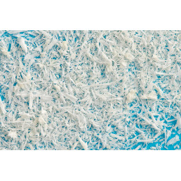 Порошок минерализованный кортикальный (1,0 мл) ЛИО-116, Лиопласт