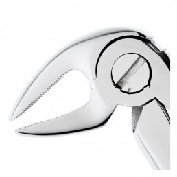 12-13 Щипцы для удаления зубов нижние, премоляры