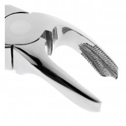 11-40 Щипцы для удаления зубов детские нижние, моляры 