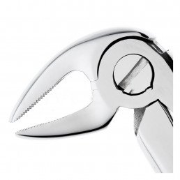 12-13 Щипцы для удаления зубов нижние, премоляры