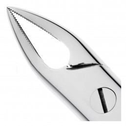 11-76S Щипцы для удаления зубов детские верхние, корневые