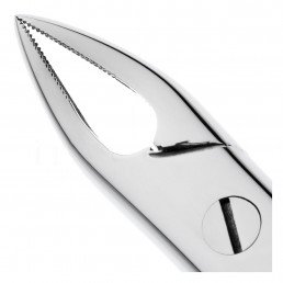 11-76S Щипцы для удаления зубов детские верхние, корневые