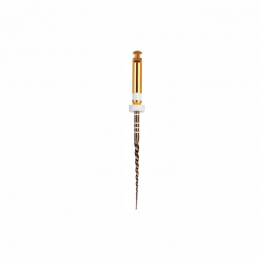 Голд-Тейпер файл 21мм S2 (6 шт/уп) Goffshtein Dental Development (GOLD-TAPER)