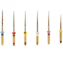 Голд-Тейпер файл 31мм Ассорти (31 мм:S1/S2/F1/F2/F3 19 мм:SX)  (6 шт/уп) Goffshtein Dental Development (GOLD-TAPER)