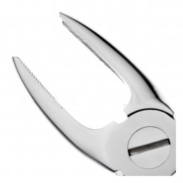 11-1 Щипцы для удаления зубов верхние, резцы/клыки