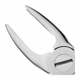 11-1 Щипцы для удаления зубов верхние, резцы/клыки