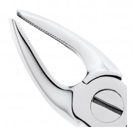 12-7 Щипцы для удаления зубов верхние, премоляры